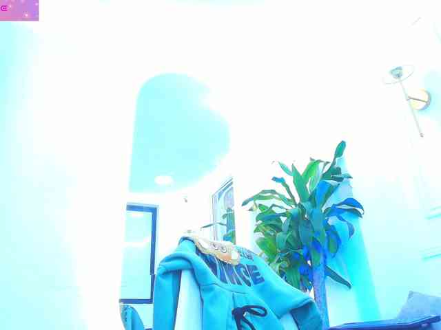 Daisy-Price webcam