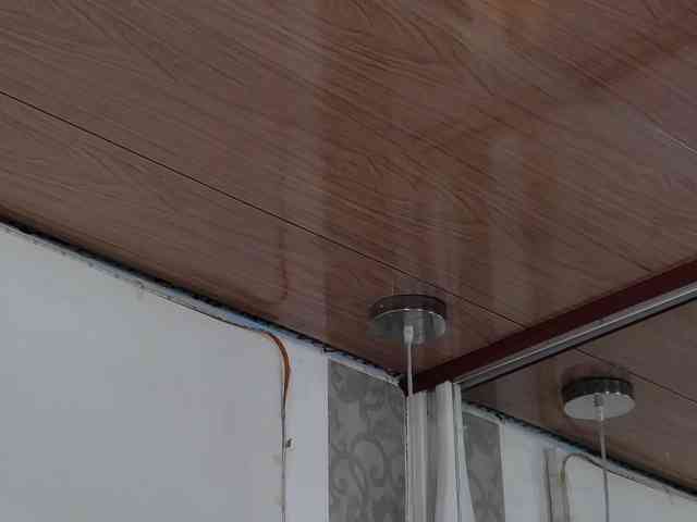 PalmerBeaumont webcam