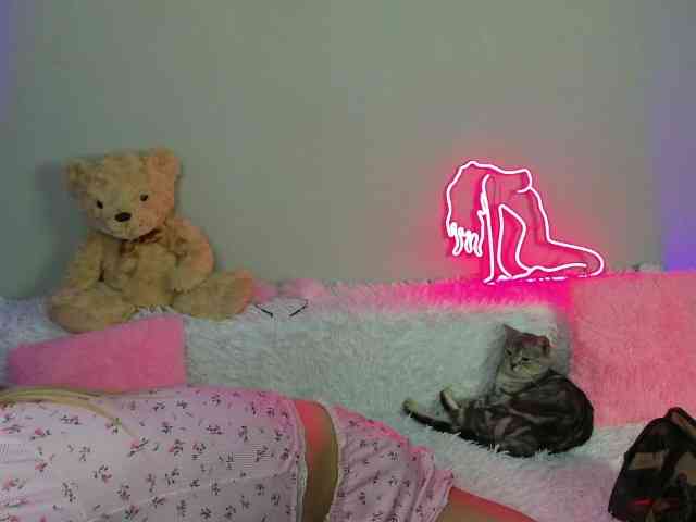 EvaBallmer webcam