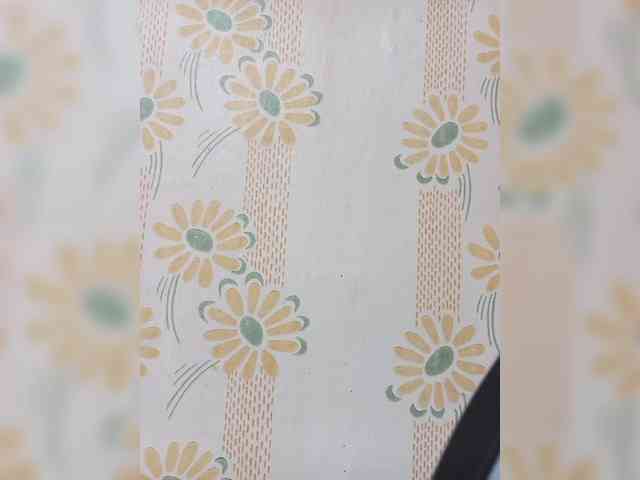 VselenaSun402 webcam