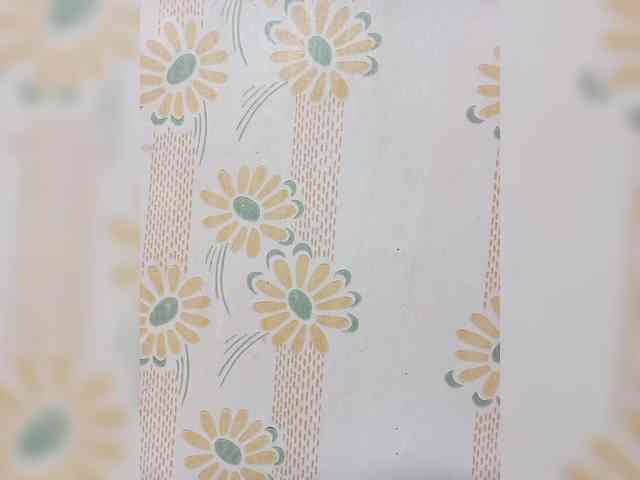 VselenaSun402 webcam