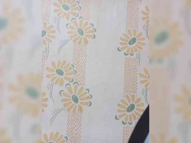 VselenaSun402 webcam