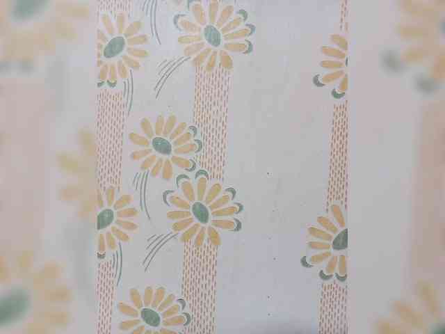 VselenaSun402 webcam