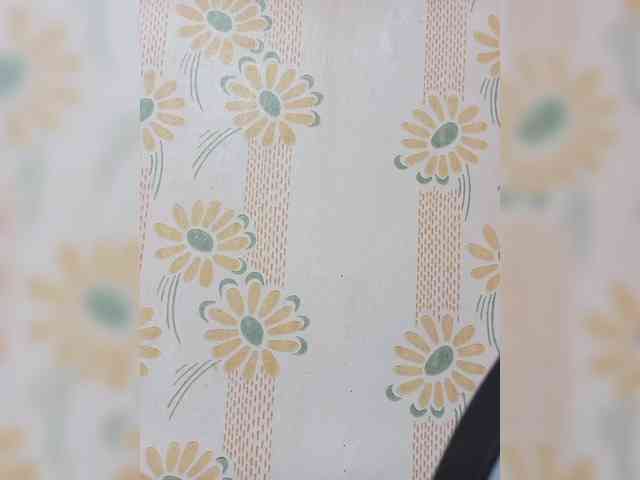 VselenaSun402 webcam