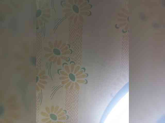 VselenaSun402 webcam