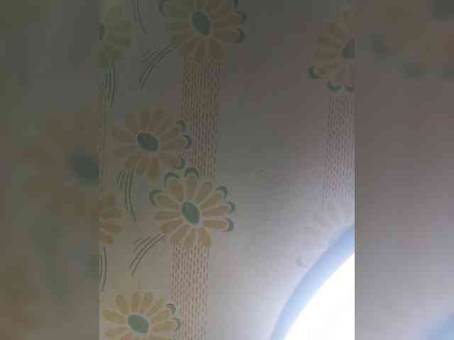 VselenaSun402 webcam