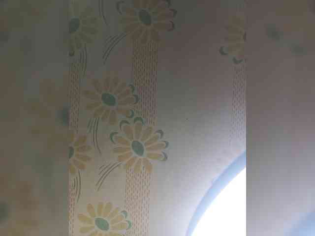 VselenaSun402 webcam