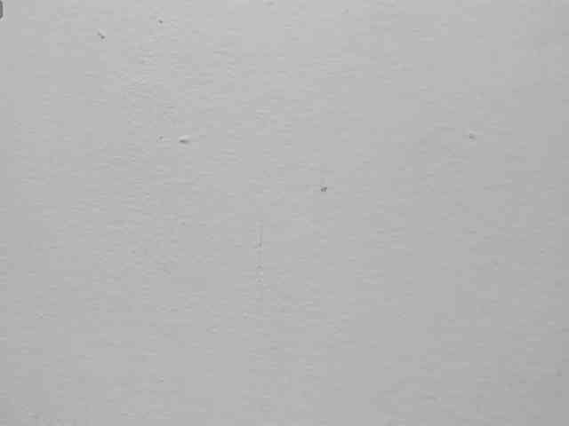 Jonnyandlexyhot webcam