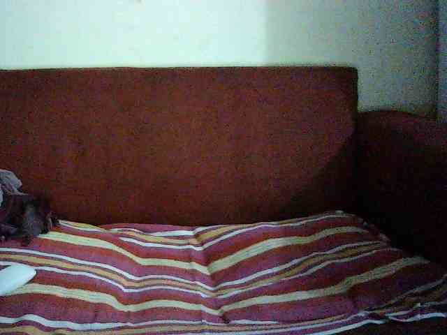 Mercedes-bunz05 webcam