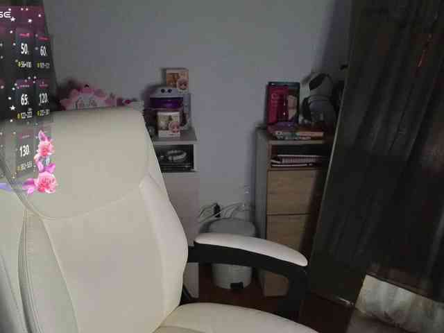 shekina webcam