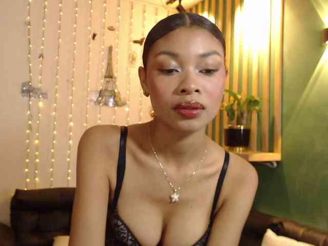 Perlast webcam