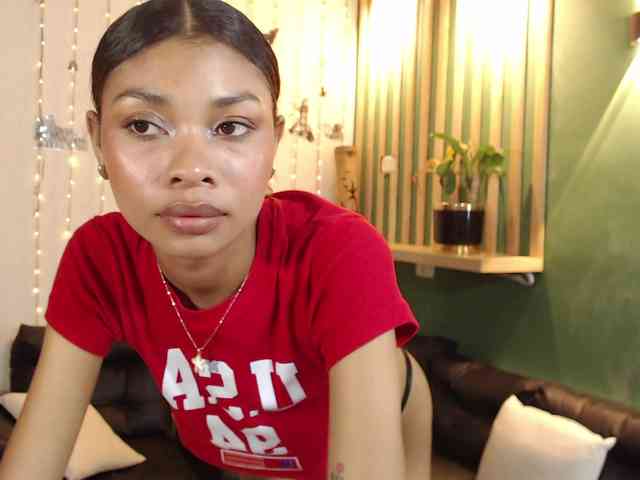 Perlast webcam