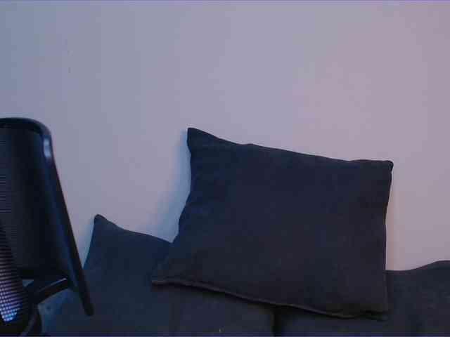 lisa-tatt webcam