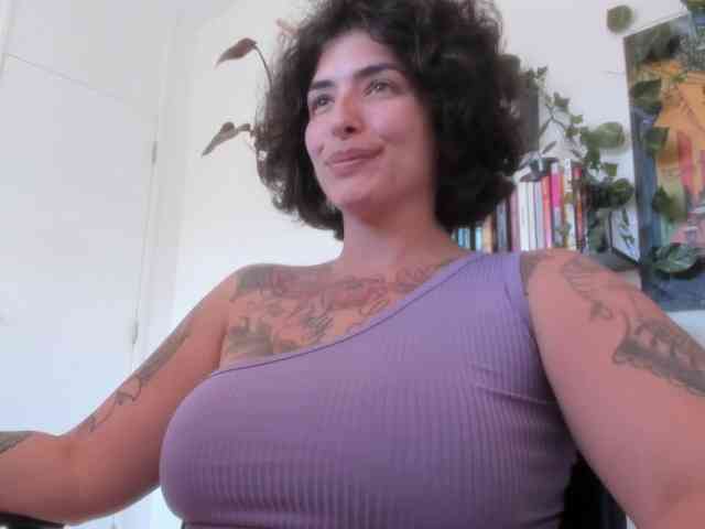 talimajesty webcam
