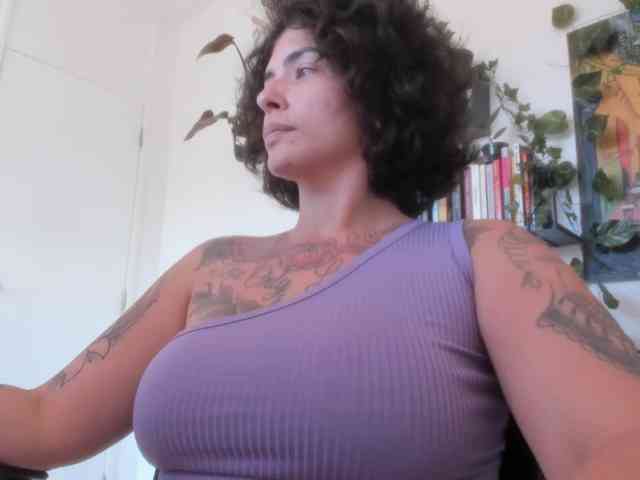 talimajesty webcam