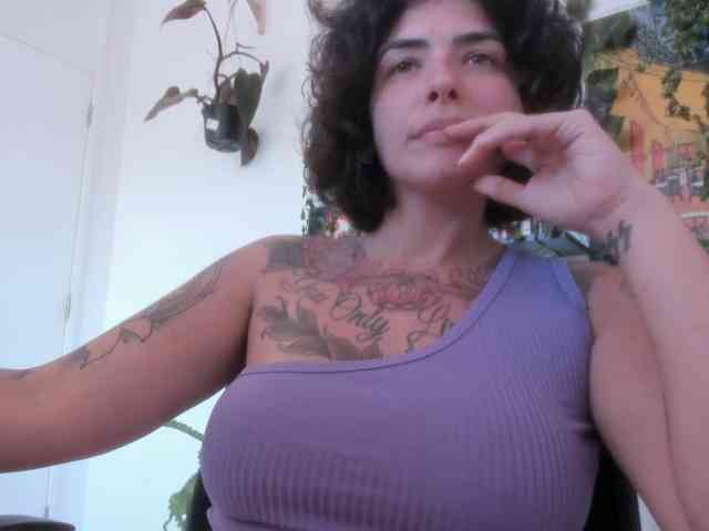 talimajesty webcam