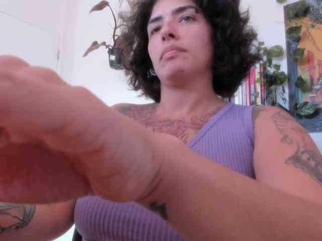 talimajesty webcam