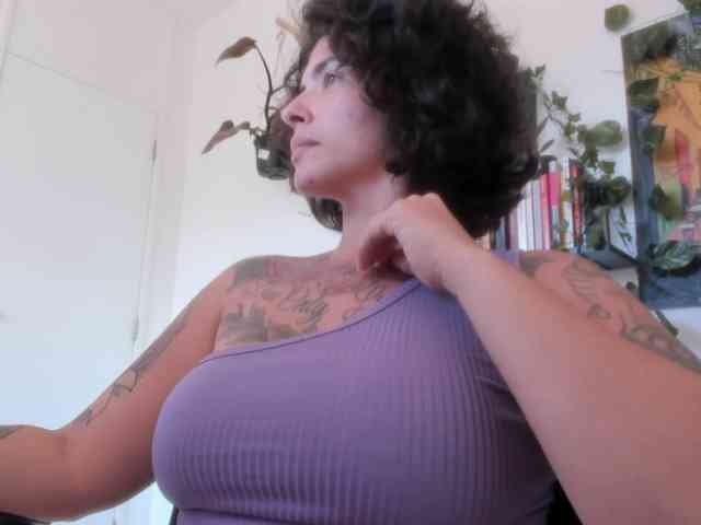 talimajesty webcam