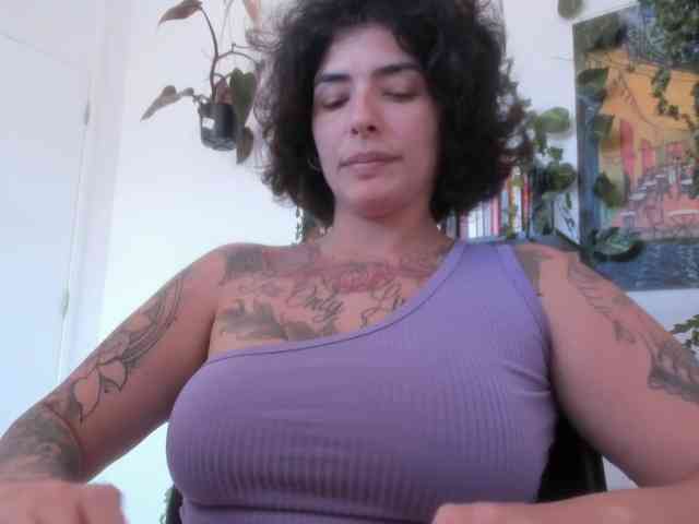 talimajesty webcam