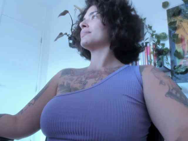 talimajesty webcam