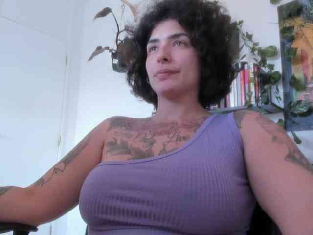talimajesty webcam