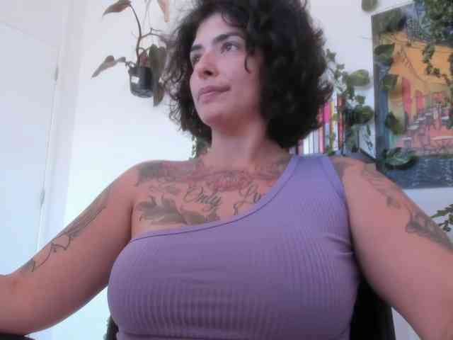 talimajesty webcam