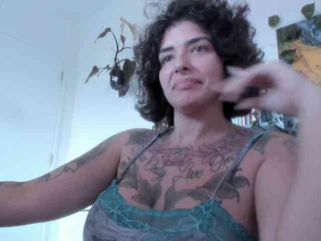 talimajesty webcam