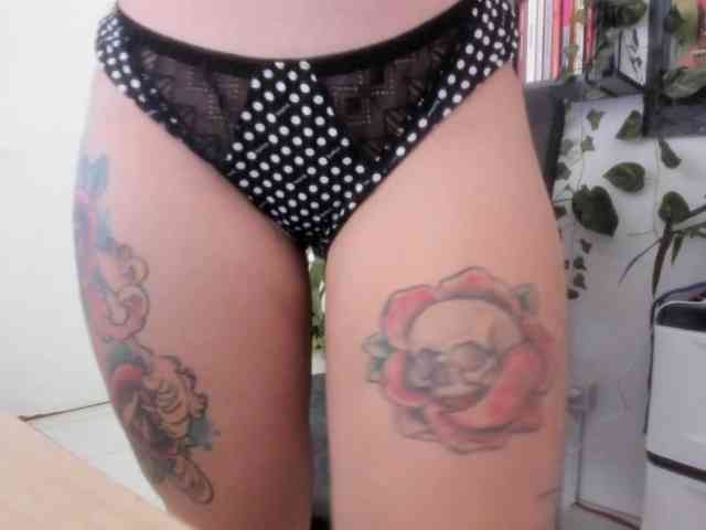 talimajesty webcam