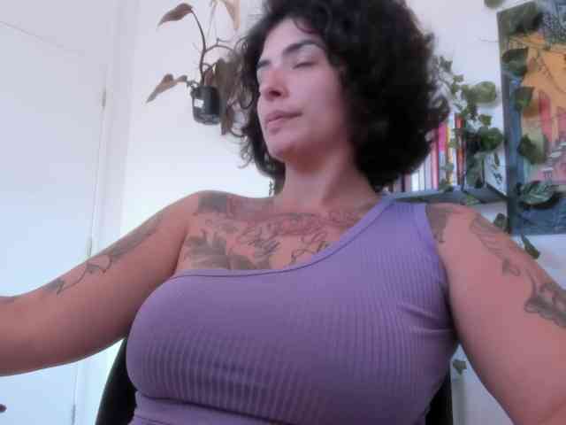 talimajesty webcam