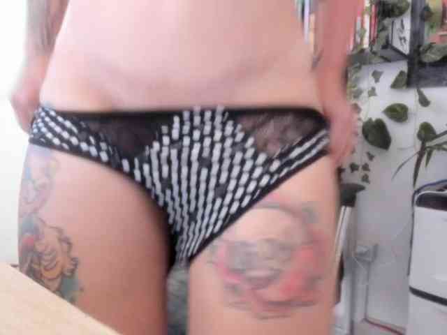 talimajesty webcam