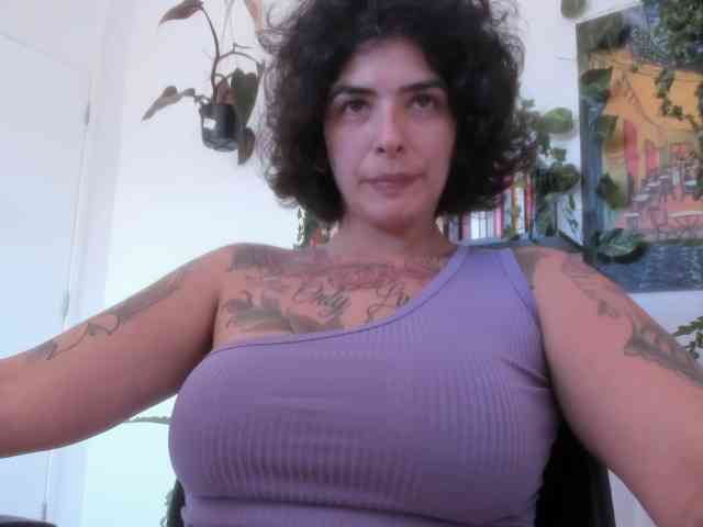 talimajesty webcam