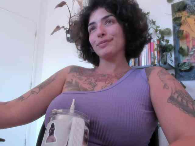 talimajesty webcam