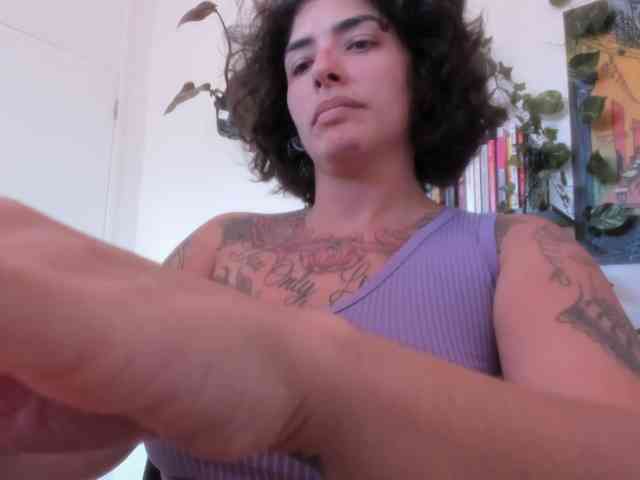talimajesty webcam