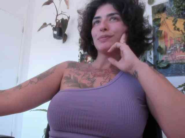 talimajesty webcam