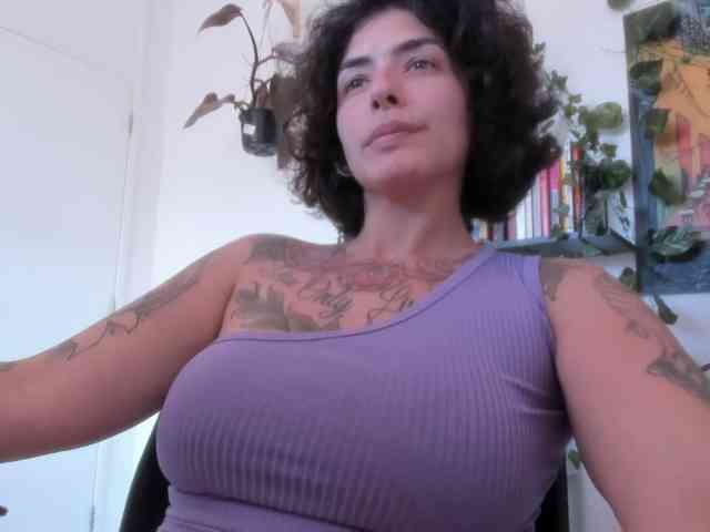 talimajesty webcam