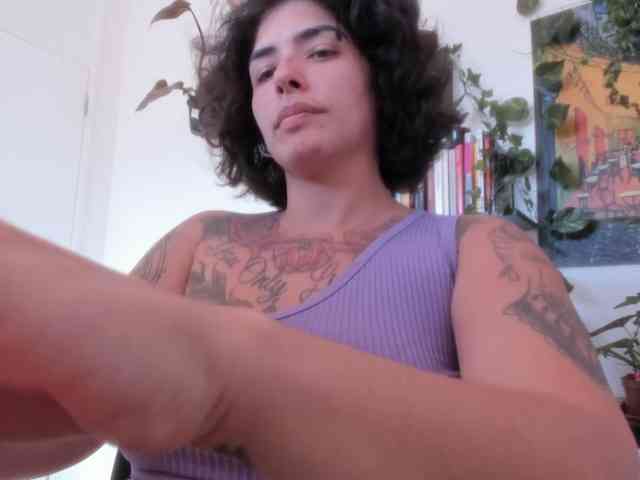 talimajesty webcam