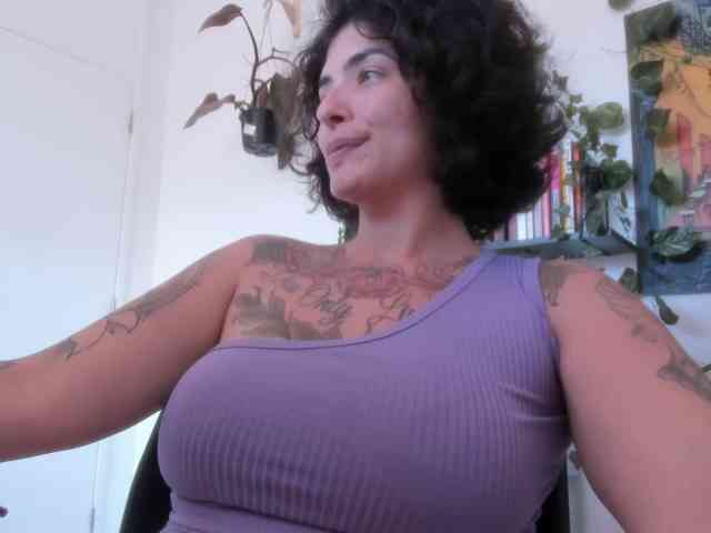 talimajesty webcam