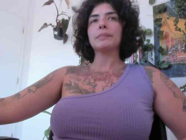 talimajesty webcam