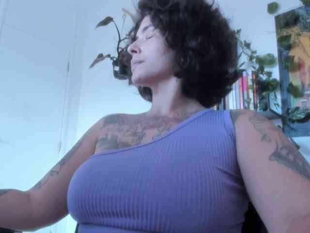 talimajesty webcam