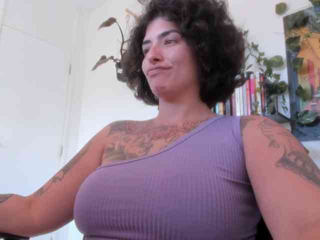 talimajesty webcam