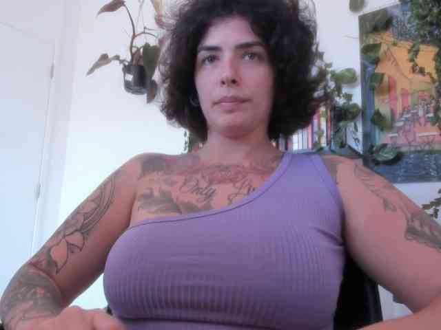 talimajesty webcam