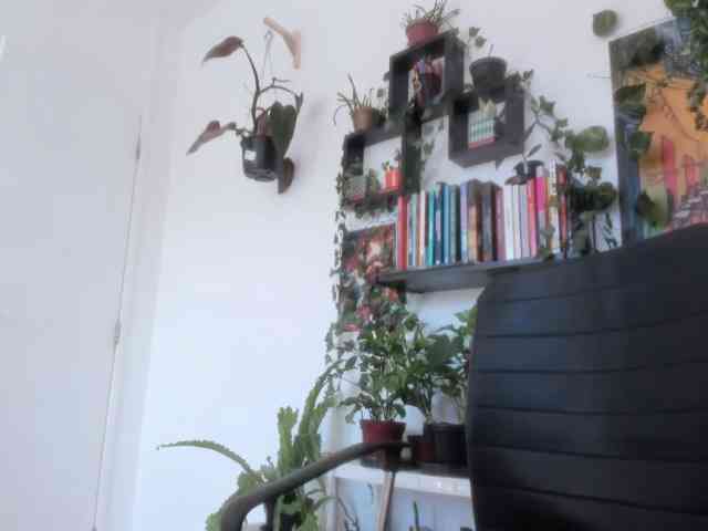 talimajesty webcam