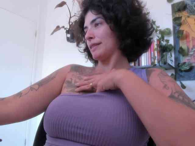 talimajesty webcam