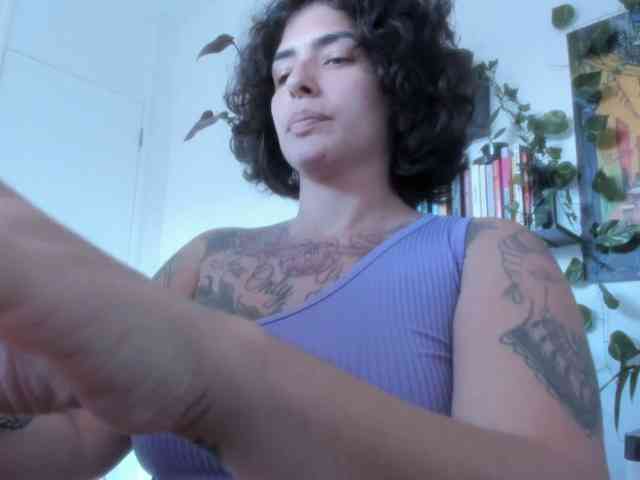 talimajesty webcam