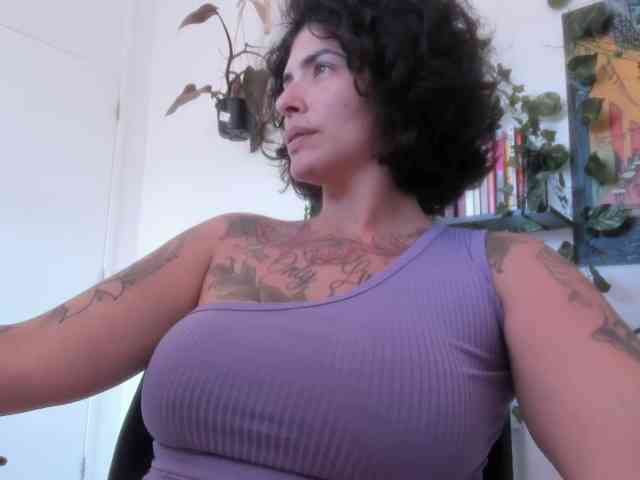 talimajesty webcam