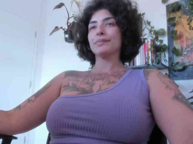 talimajesty webcam