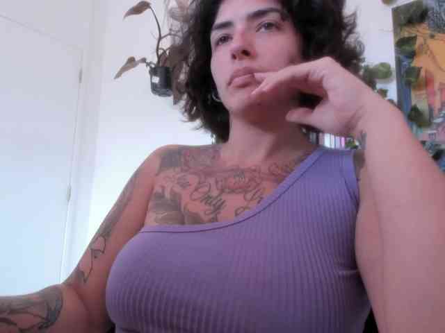 talimajesty webcam