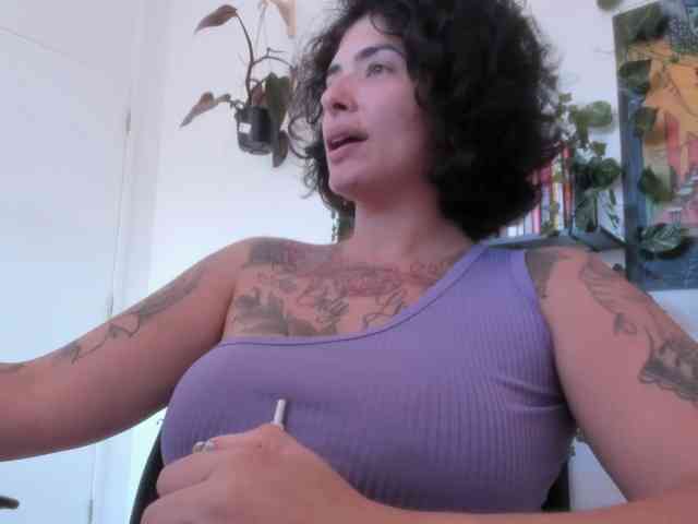 talimajesty webcam