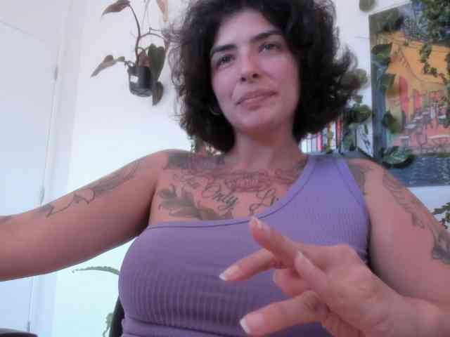 talimajesty webcam