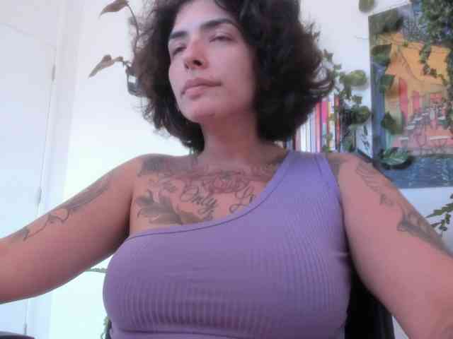 talimajesty webcam